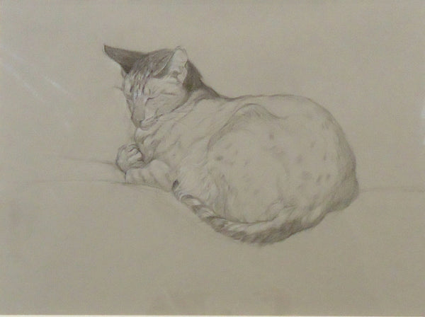 Patricia Traub: Catnap