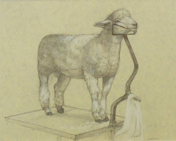Corriedale Sheep and Stand, charcoal, pen, white chalk & graphite on paper drawing by Philadelphia artist Patricia Traub.