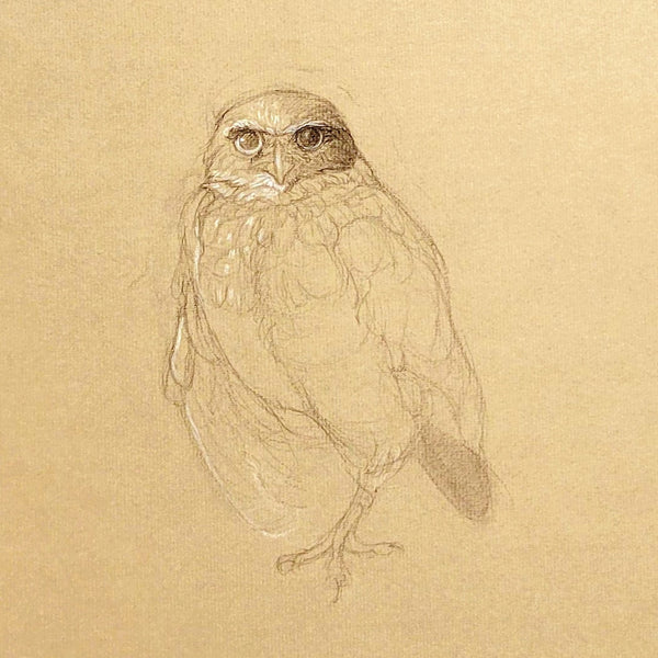 A pencil sketch of an owl on textured beige paper, showing detailed feather patterns and large expressive eyes.
