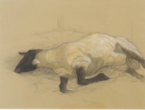 Sleeping Sheep, charcoal, conté crayon and pastel on paper drawing by Philadelphia artist Patricia Traub