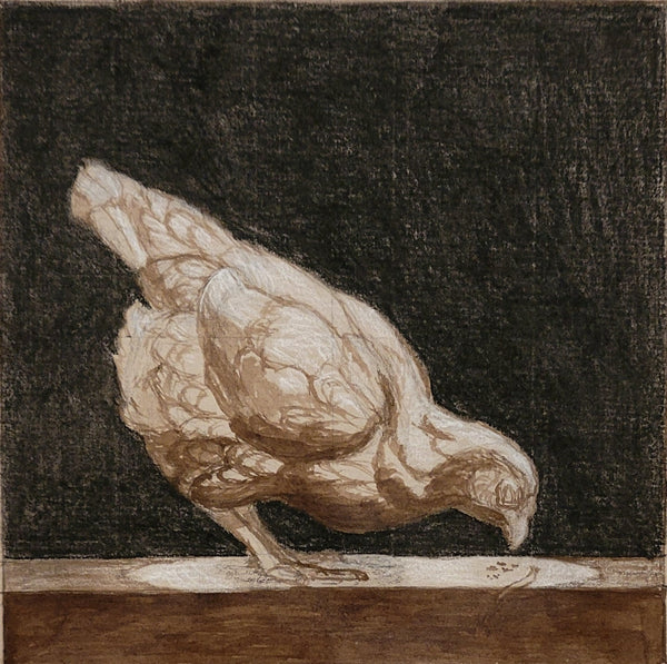 Patricia Traub: Study for ISA Chicken