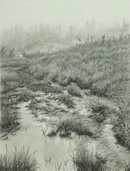 Fog, graphite drawing by Cerulean Arts Collective member Kathleen Wert.