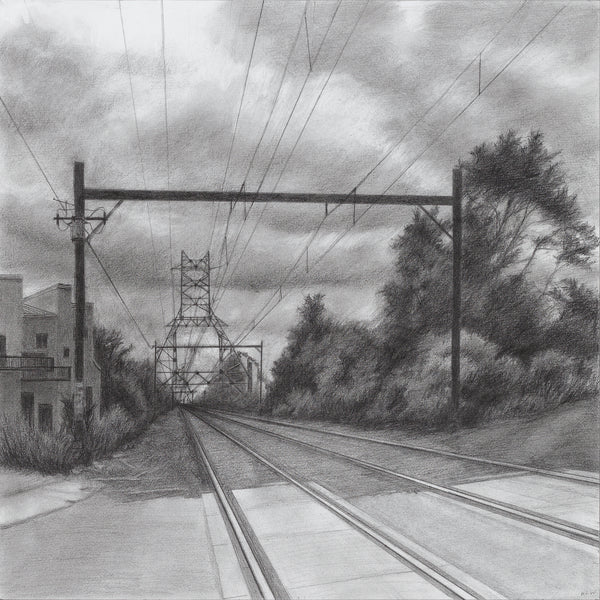 Giant, graphite drawing by Cerulean Arts Collective member Kathleen Wert.