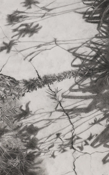 Sidewalk Shadows, graphite drawing by Cerulean Arts Collective member Kathleen Wert.