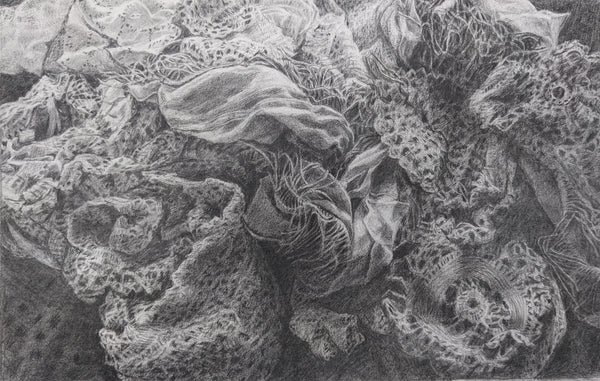 Tangle, graphite on Arches 140 lb hot press paper drawing by Cerulean Arts Collective member Kathleen Wert