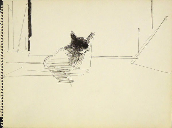 Cat Study, ink on paper drawing by Pennsylvania artist Sidney Goodman, c. 1962, available at Cerulean Arts. 