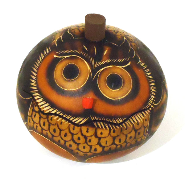 Gourd Box - Petite Owl