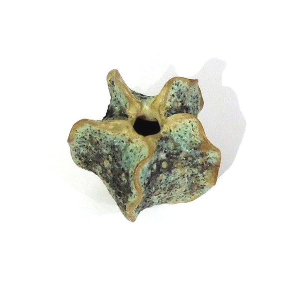 Thai Vase, Luffa Mini Green