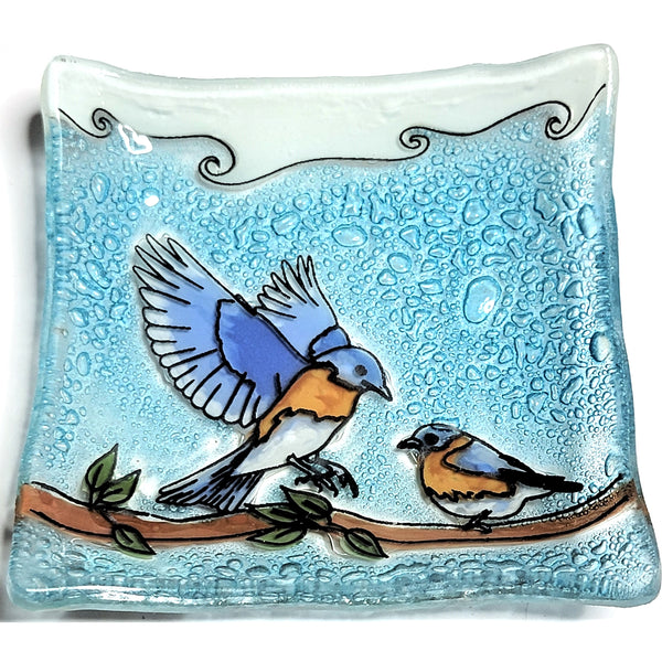 Fused glass small plate featuring blue birds on a branch available at Cerulean Arts. 