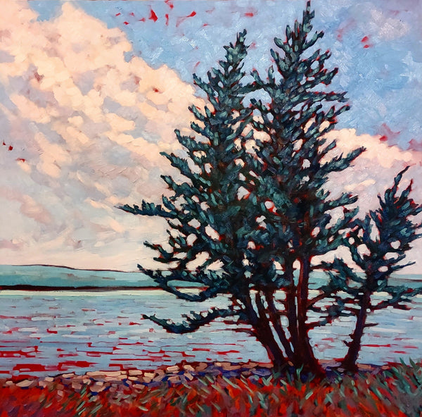 Laura Eyring: Pines of Maine