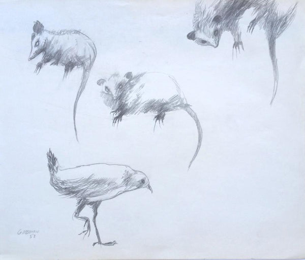 Bird and Rats, pencil on paper drawing by Pennsylvania artist Sidney Goodman, signed and dated 1958, available at Cerulean Arts. 