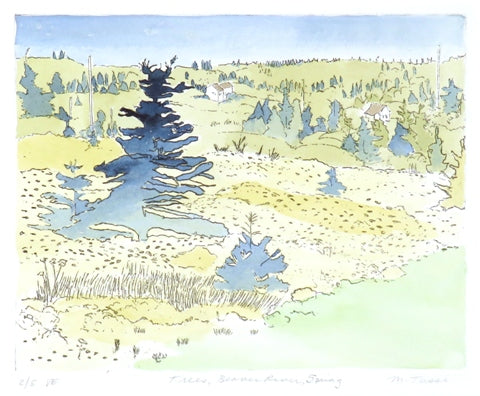 Margo Tassi: Trees, Beaver River, Spring